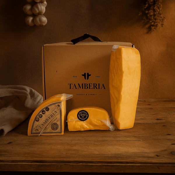 Box Para Rallar